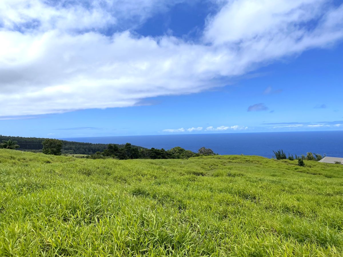 Lot A Spencer Road Laupahoehoe, HI 96764 - Photo 3 of 16 a view of a big yard with an outdoor space and seating