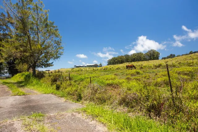 a view of an outdoor space and trees