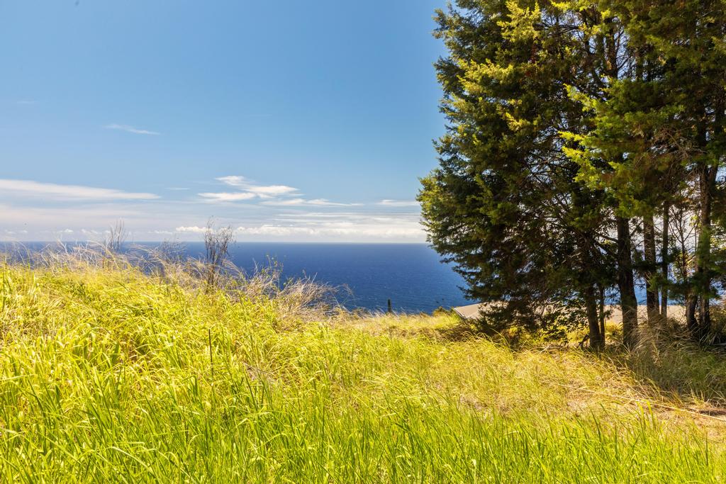 Lot A Spencer Road Laupahoehoe, HI 96764 - Photo 5 of 16 a view of an outdoor space and trees