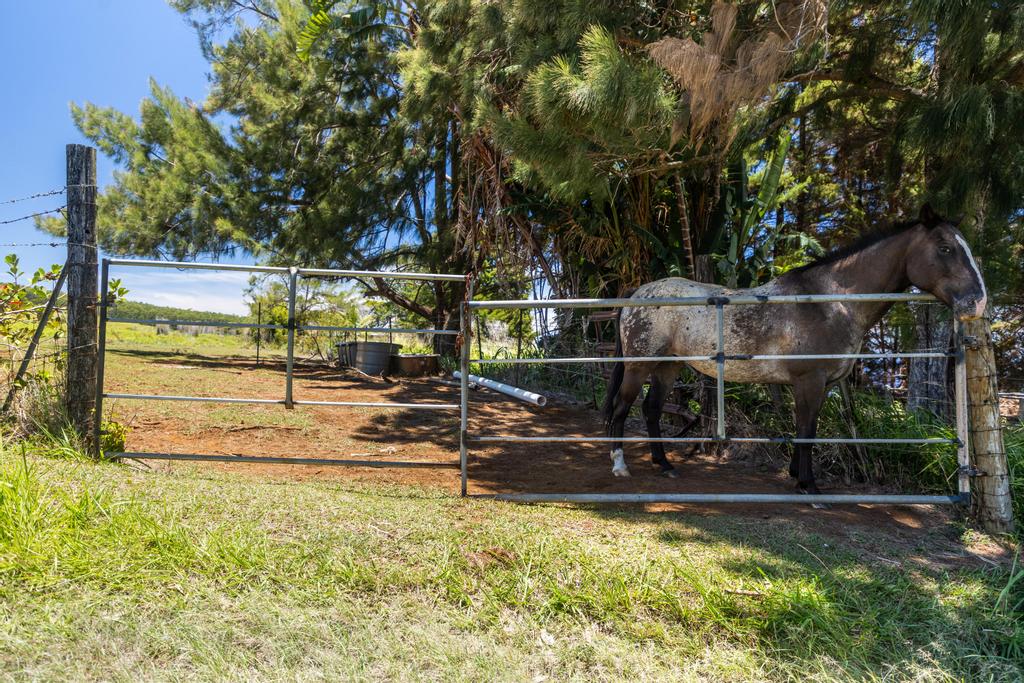 Lot A Spencer Road Laupahoehoe, HI 96764 - Photo 10 of 16 a view of a swimming pool with a house