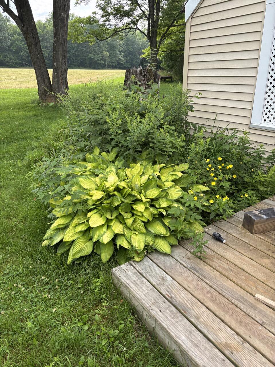 465 Carthage Road Carthage, ME 04224 - Photo 48 of 52
