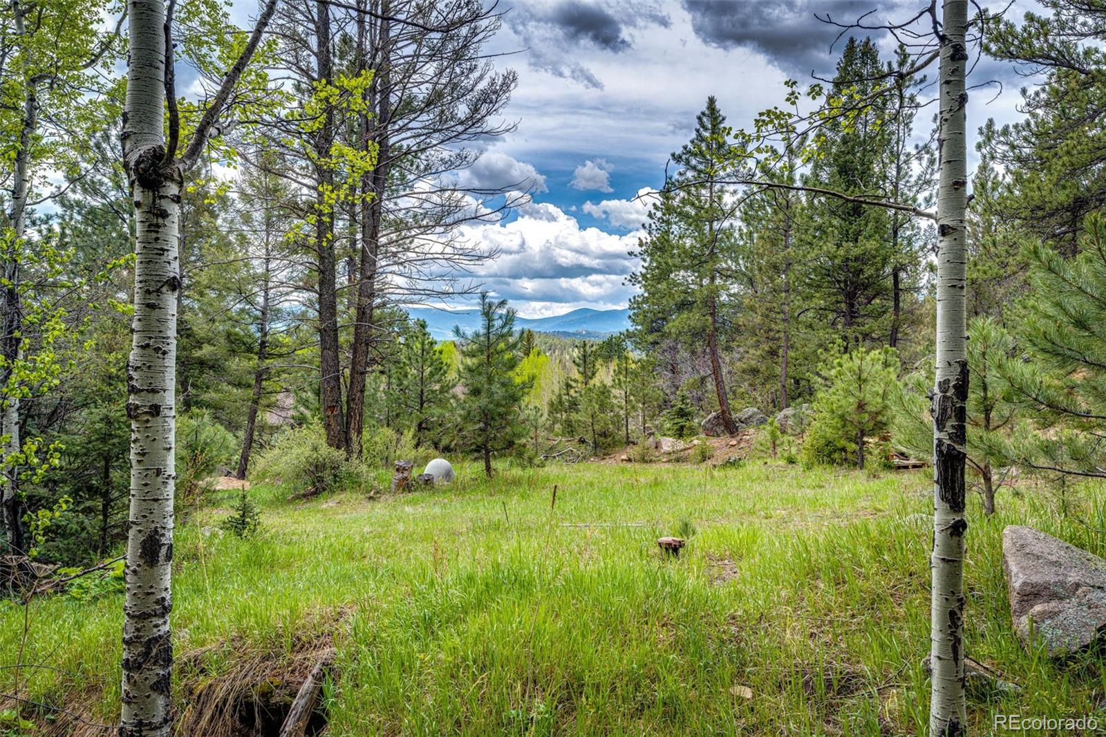 12346 Bear Haven Road Conifer, CO 80433 - Photo 2 of 35