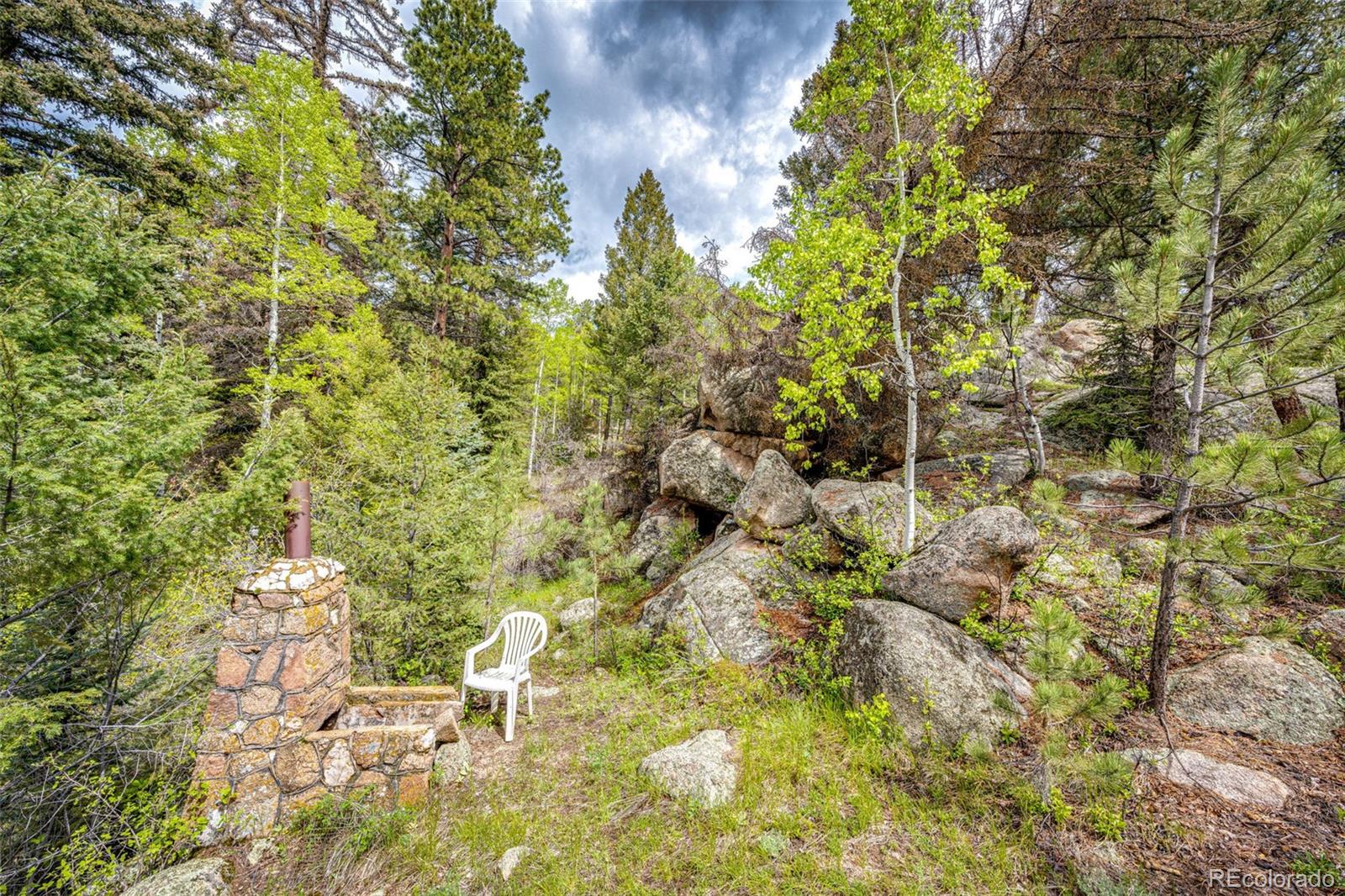 12346 Bear Haven Road Conifer, CO 80433 - Photo 24 of 35