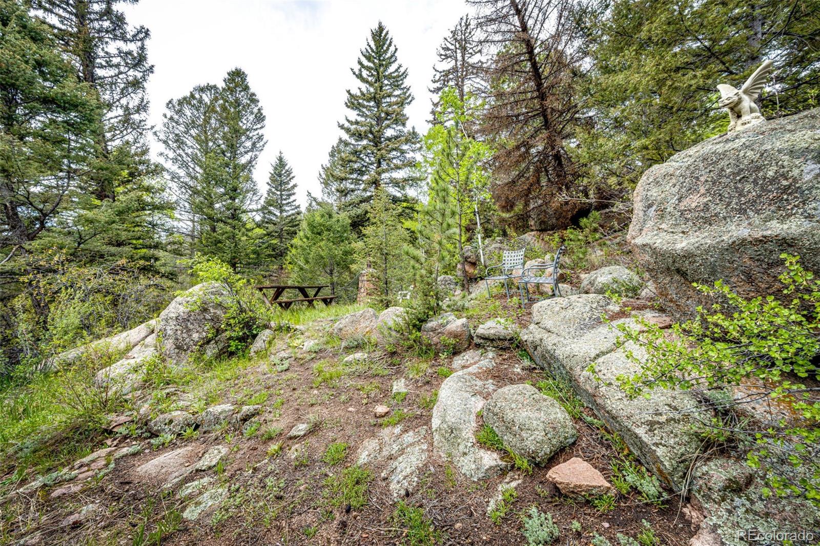 12346 Bear Haven Road Conifer, CO 80433 - Photo 25 of 35