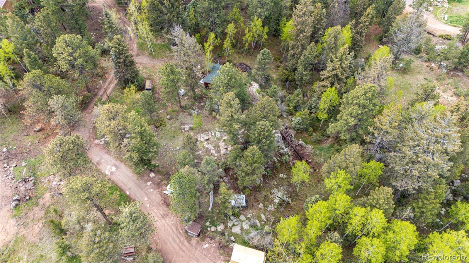 12346 Bear Haven Road Conifer, CO 80433 - Photo 31 of 35