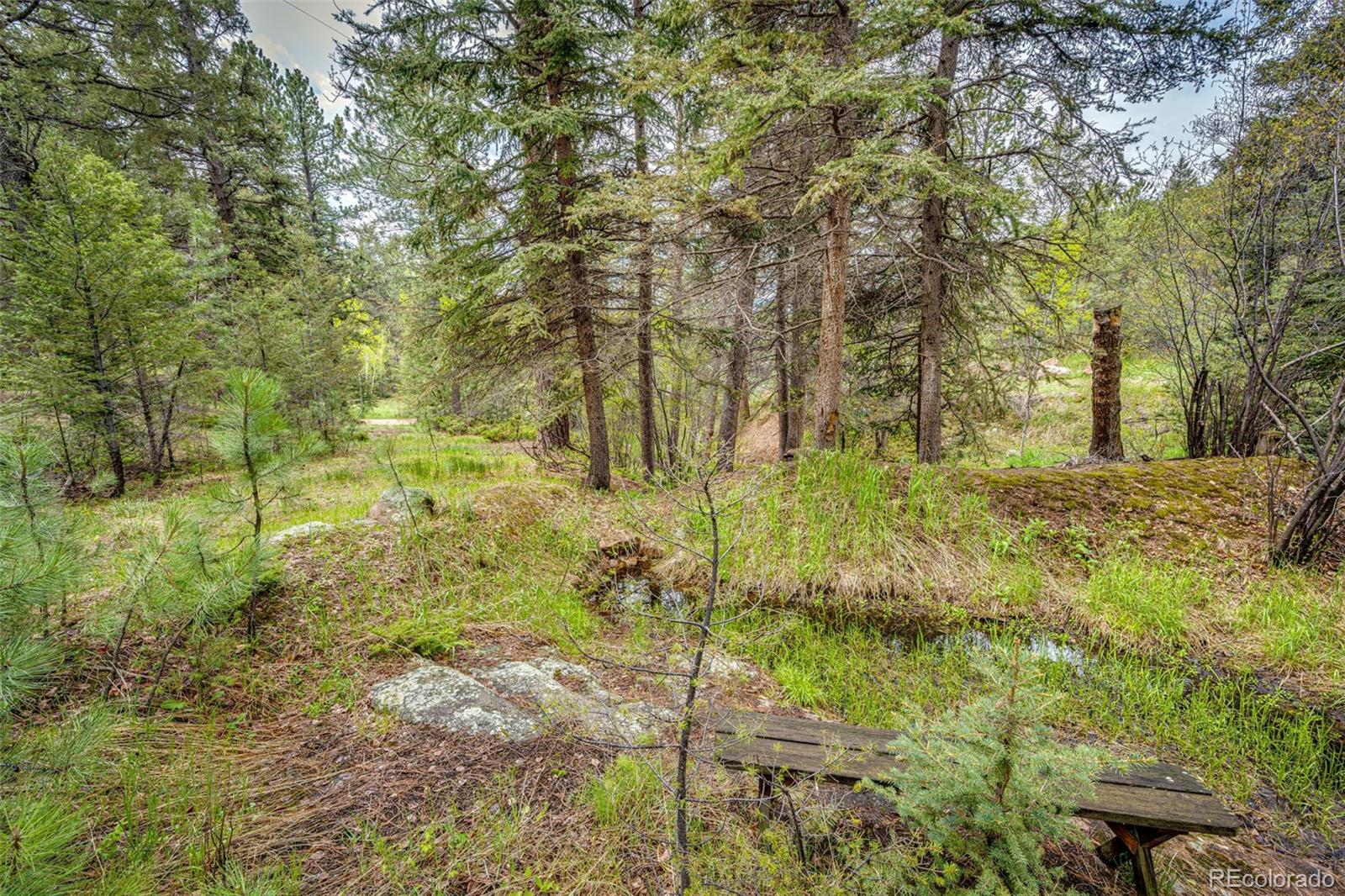 12346 Bear Haven Road Conifer, CO 80433 - Photo 4 of 35