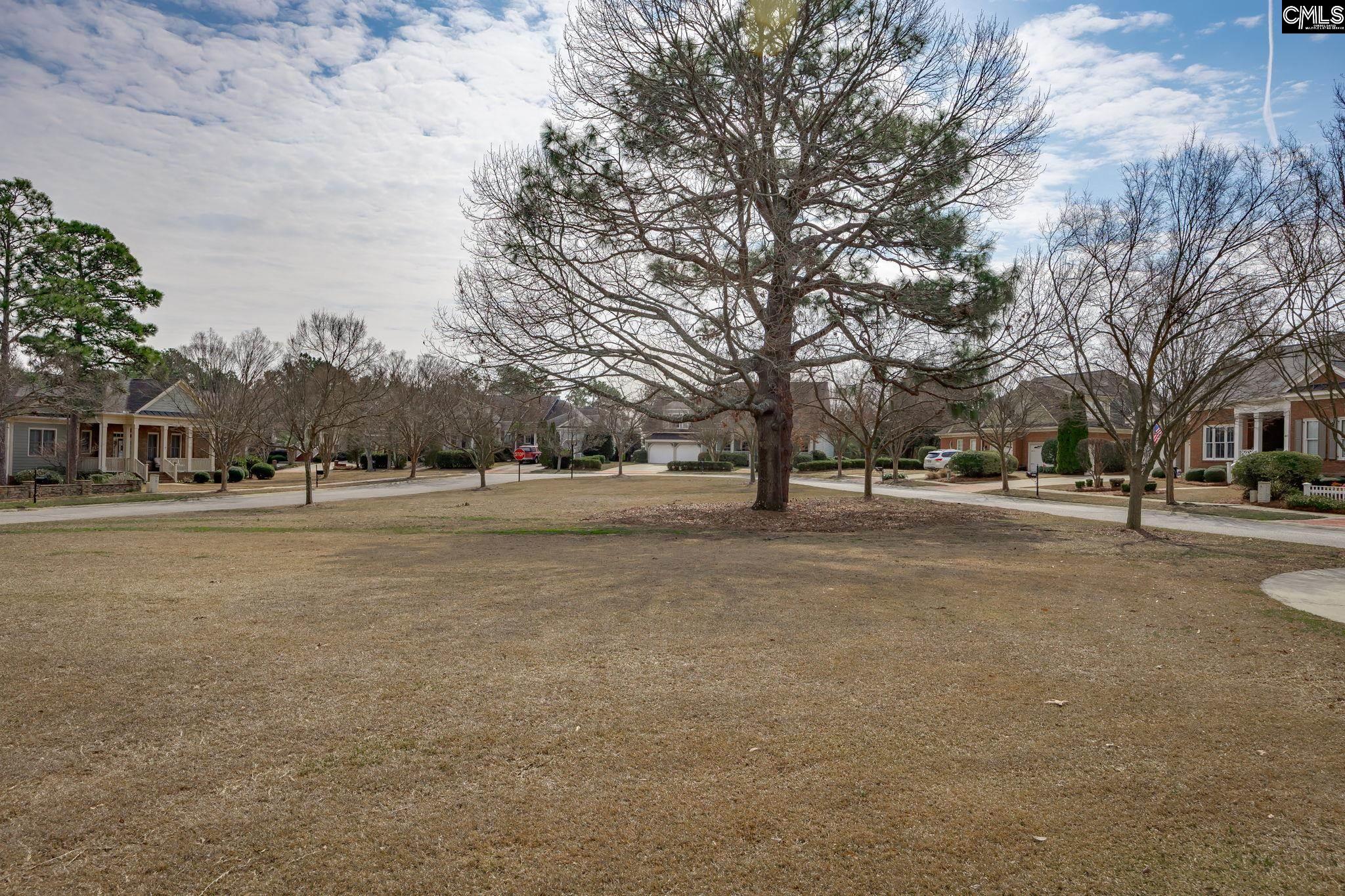 117 Parish Walk Elgin, SC 29045 - Photo 74 of 78