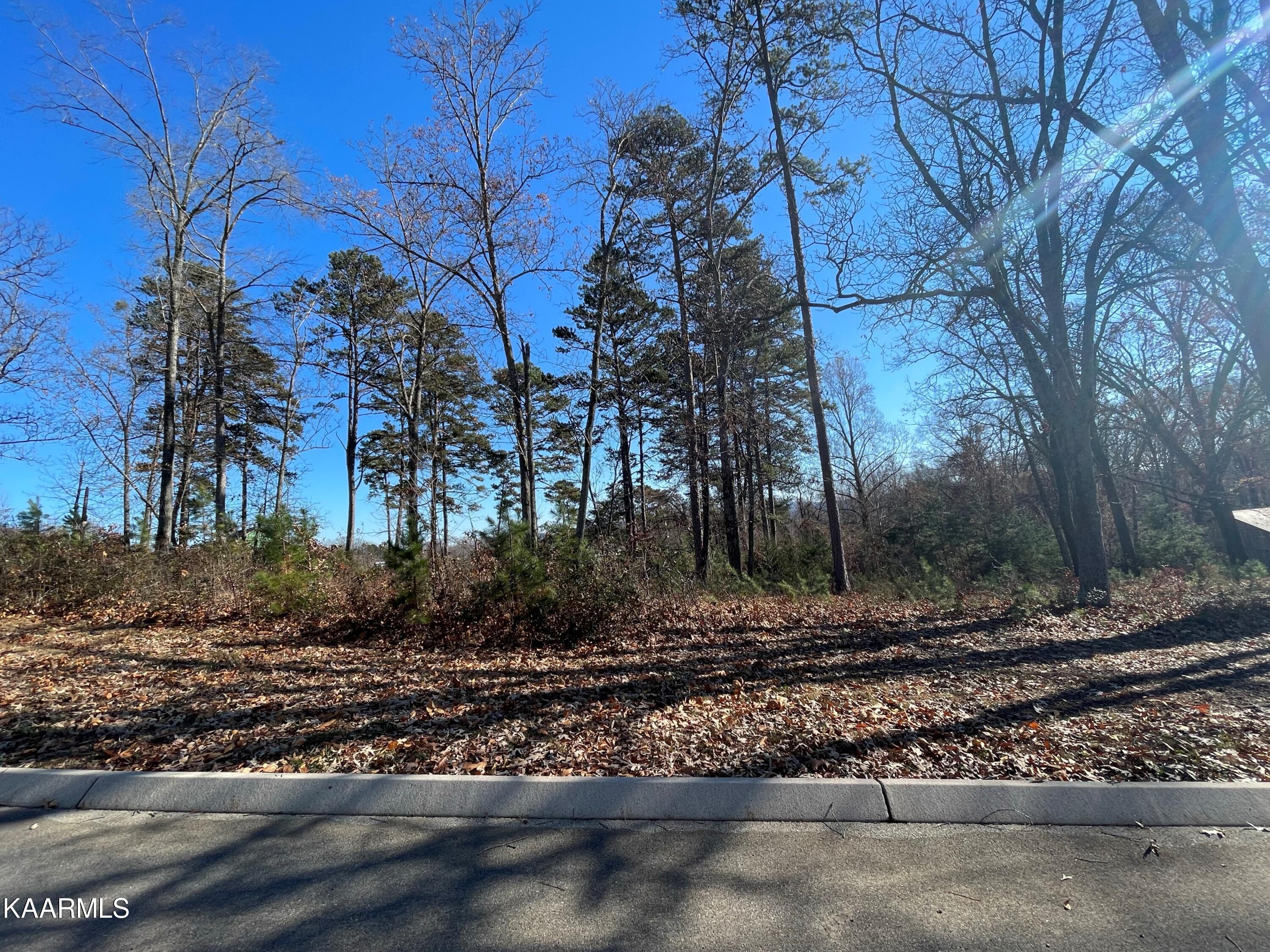 Lot 96 Cow Poke Lane Rutledge, TN 37861 - Photo 1 of 21 1