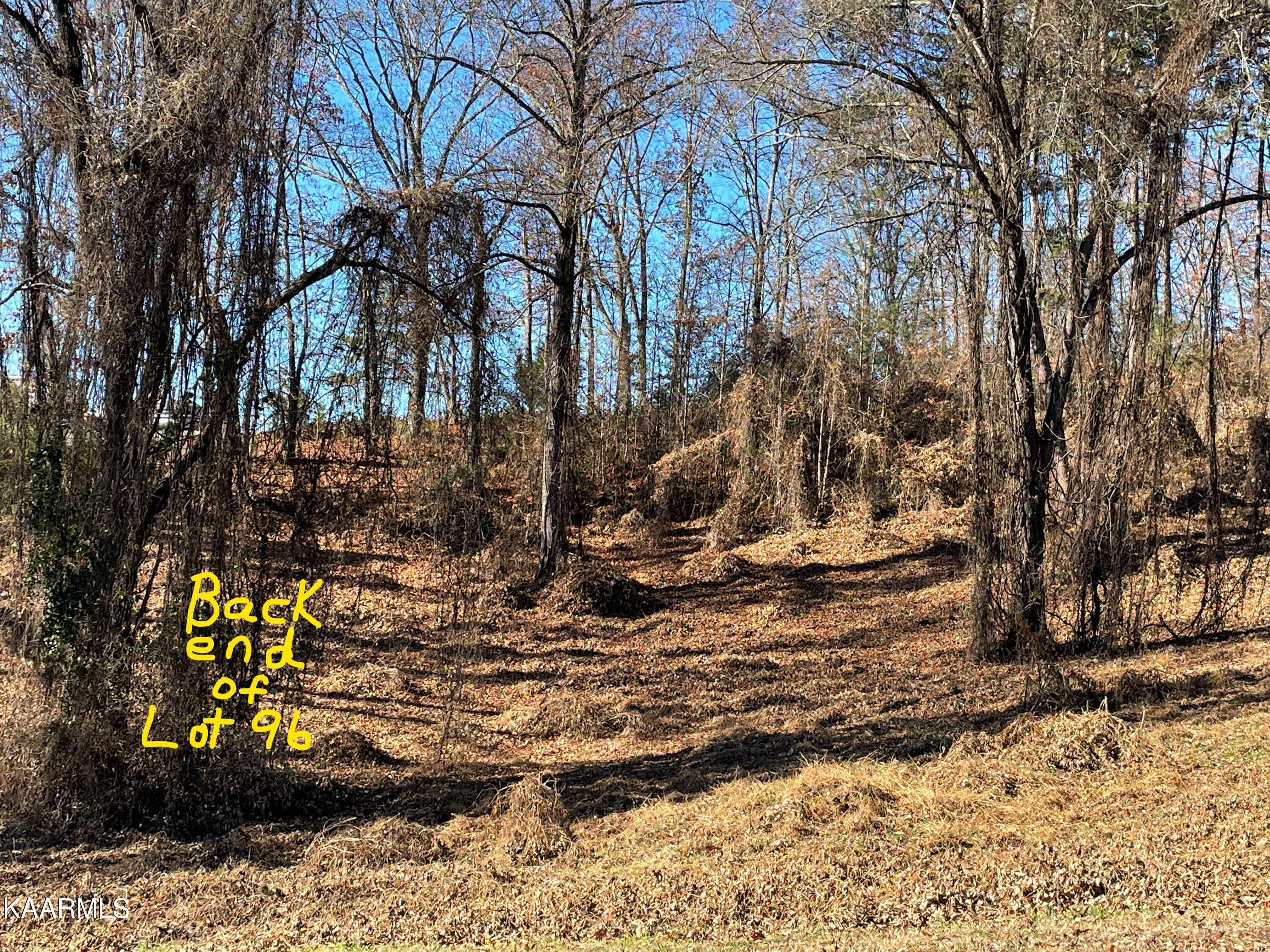 Lot 96 Cow Poke Lane Rutledge, TN 37861 - Photo 14 of 21 13