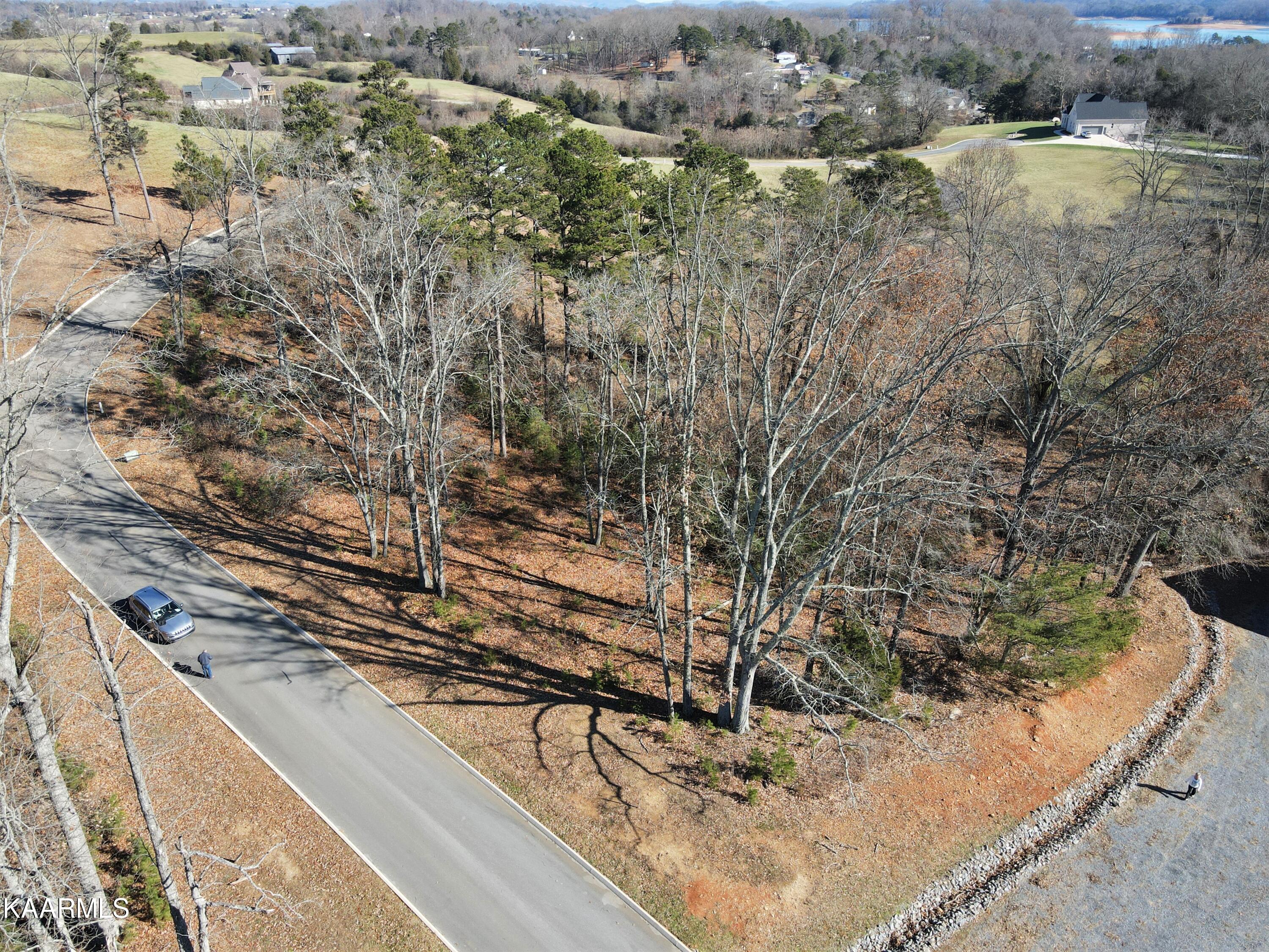 Lot 96 Cow Poke Lane Rutledge, TN 37861 - Photo 3 of 21 3