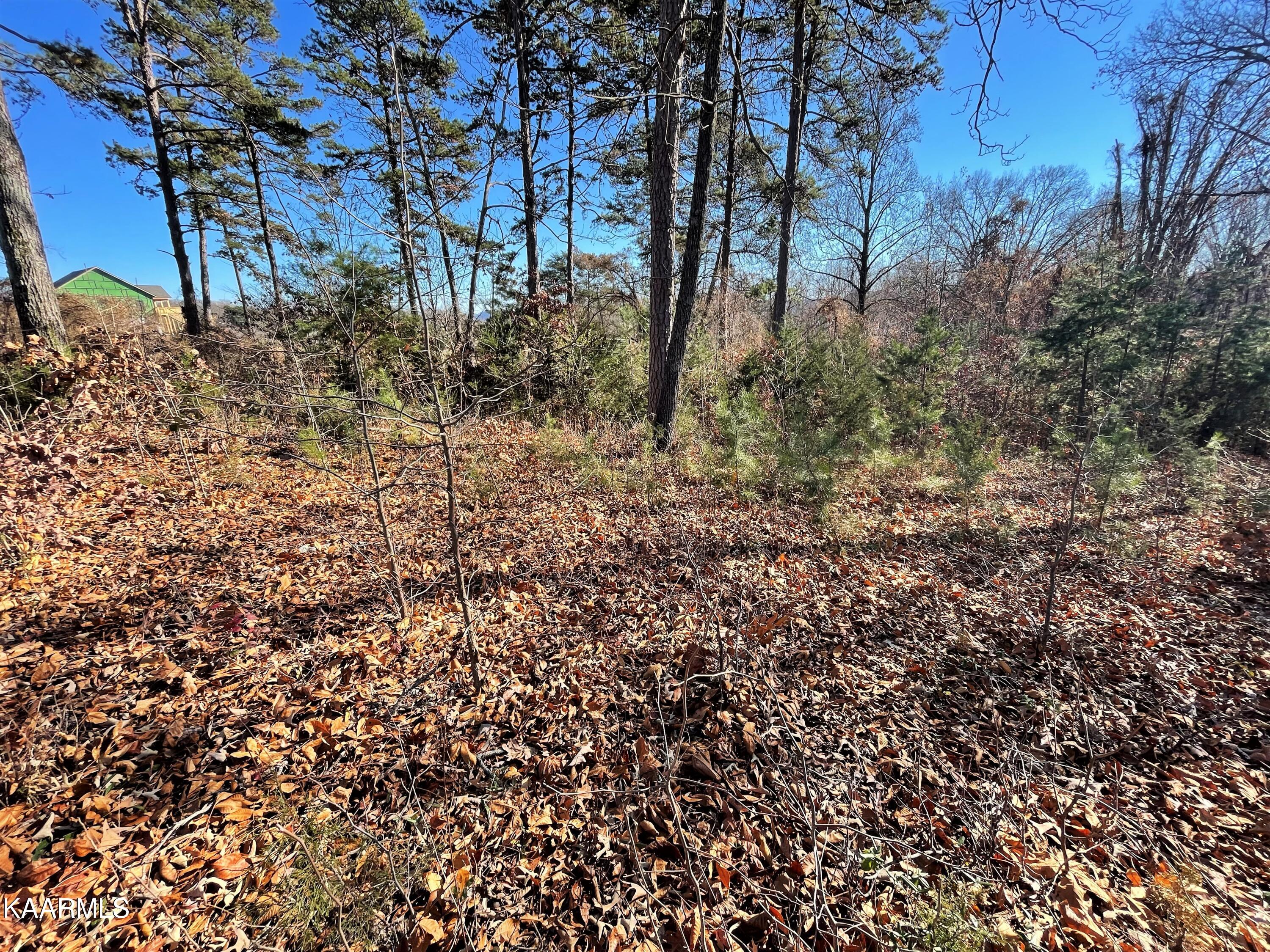 Lot 96 Cow Poke Lane Rutledge, TN 37861 - Photo 4 of 21 4