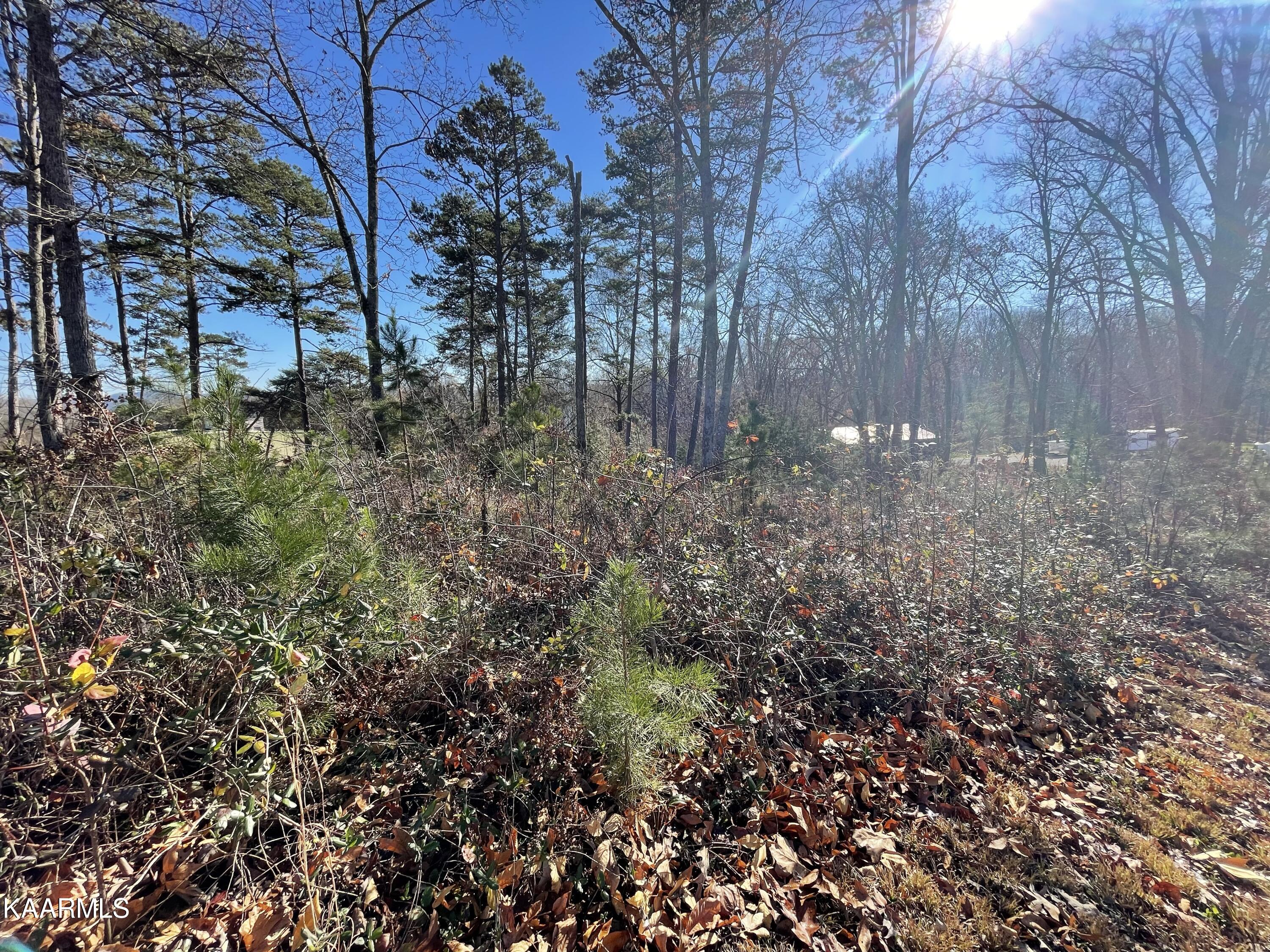 Lot 96 Cow Poke Lane Rutledge, TN 37861 - Photo 5 of 21 4a