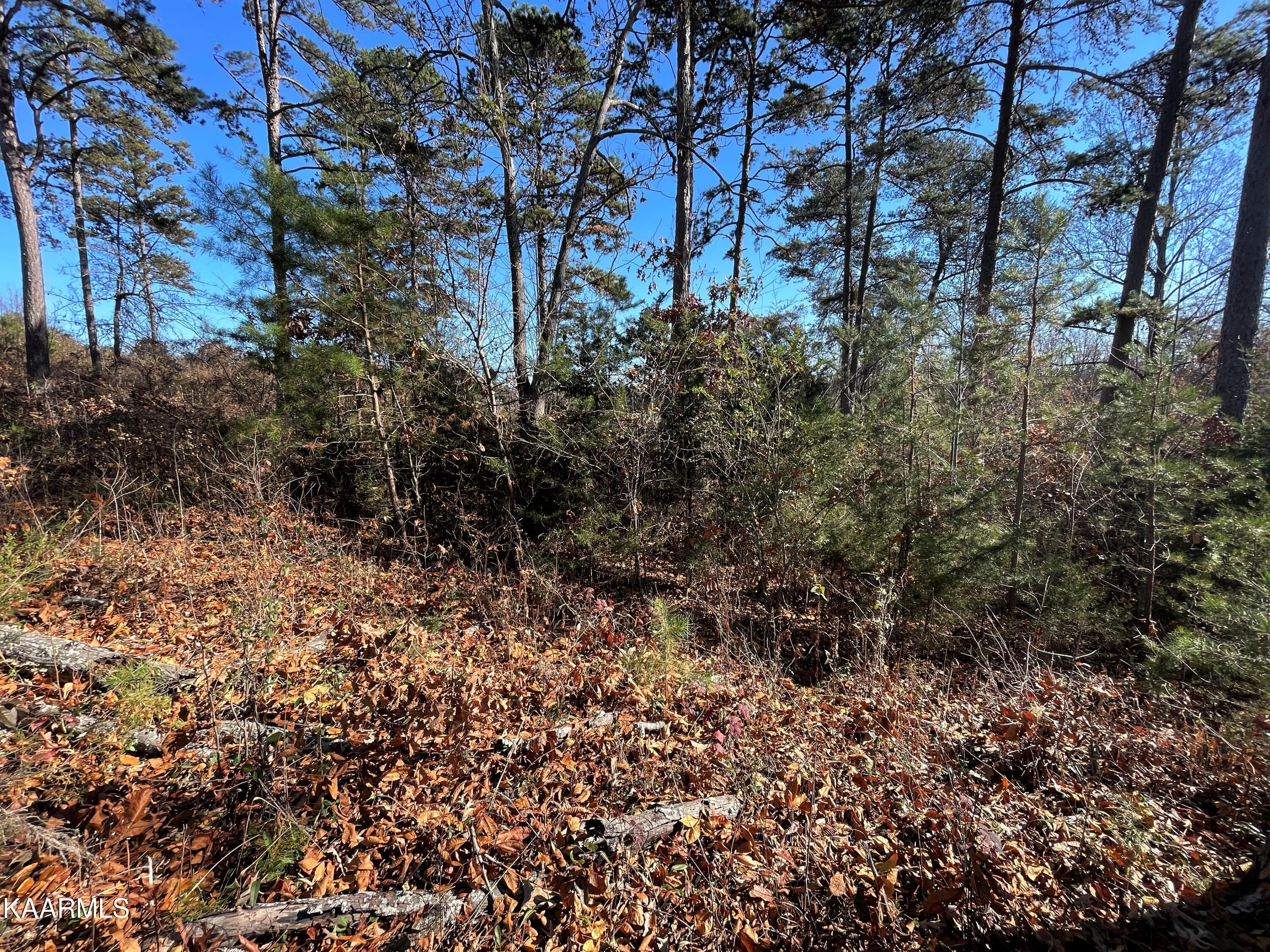 Lot 96 Cow Poke Lane Rutledge, TN 37861 - Photo 7 of 21 6