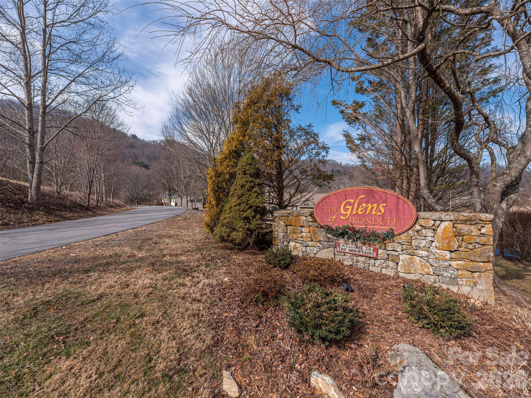 0 Coyote Hollow Road Waynesville, NC 28785 - Photo 12 of 12
