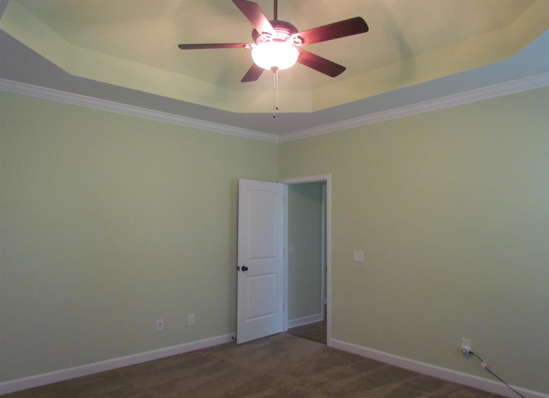 209 Amazonway Ridge Lascassas, TN 37085 - Photo 15 of 27 This is the Master Bedroom with Trey Ceiling!