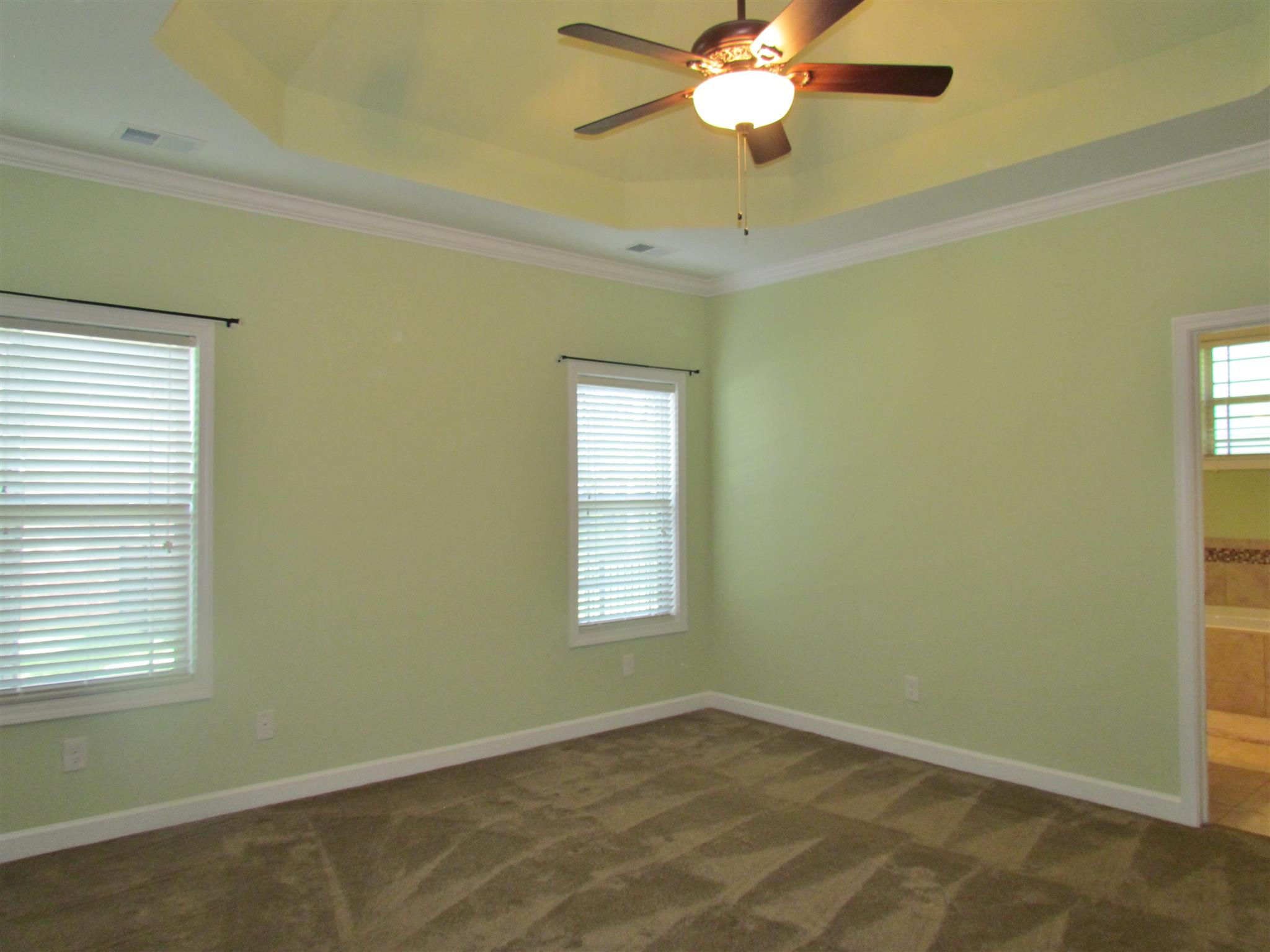 209 Amazonway Ridge Lascassas, TN 37085 - Photo 16 of 27 and another view of the Master Bedroom!