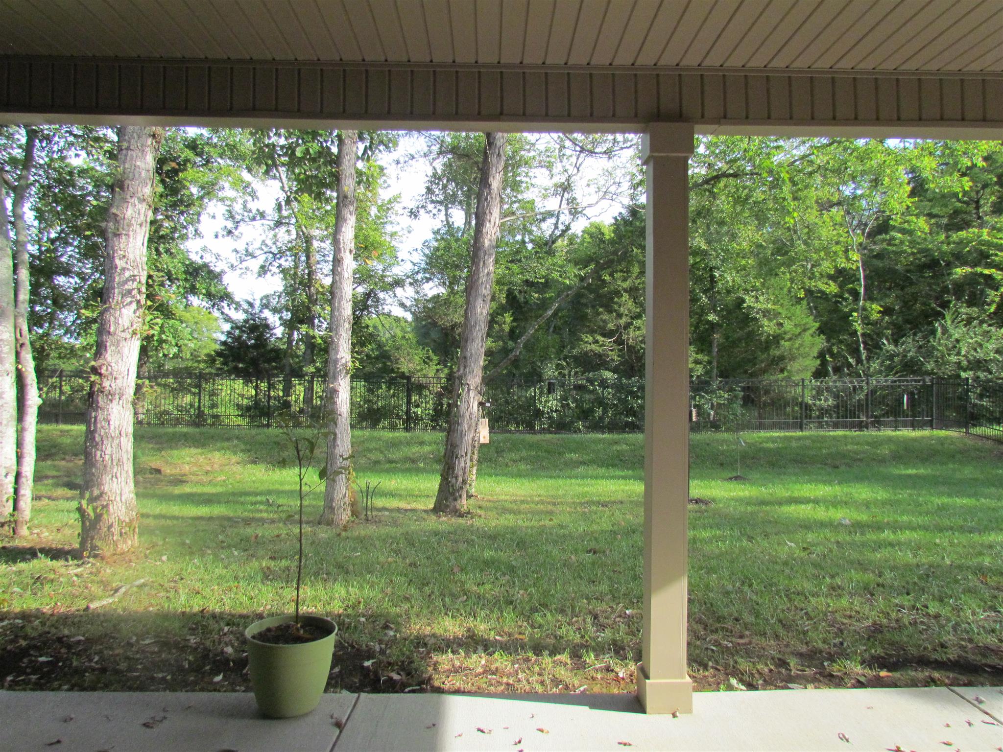 209 Amazonway Ridge Lascassas, TN 37085 - Photo 3 of 27 The 'dream' back yard is for nature lovers. The bird feeders are already in place!