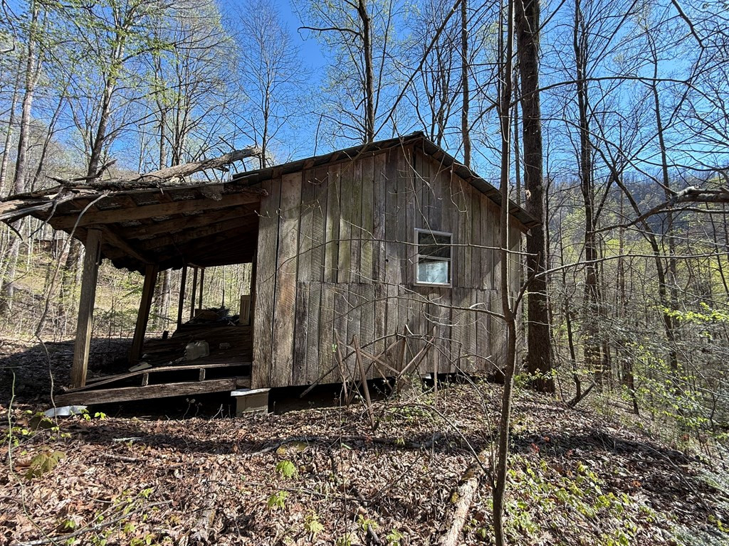 Tbd Clearview Lane Murphy, NC 28906 - Photo 19 of 29 Structure
