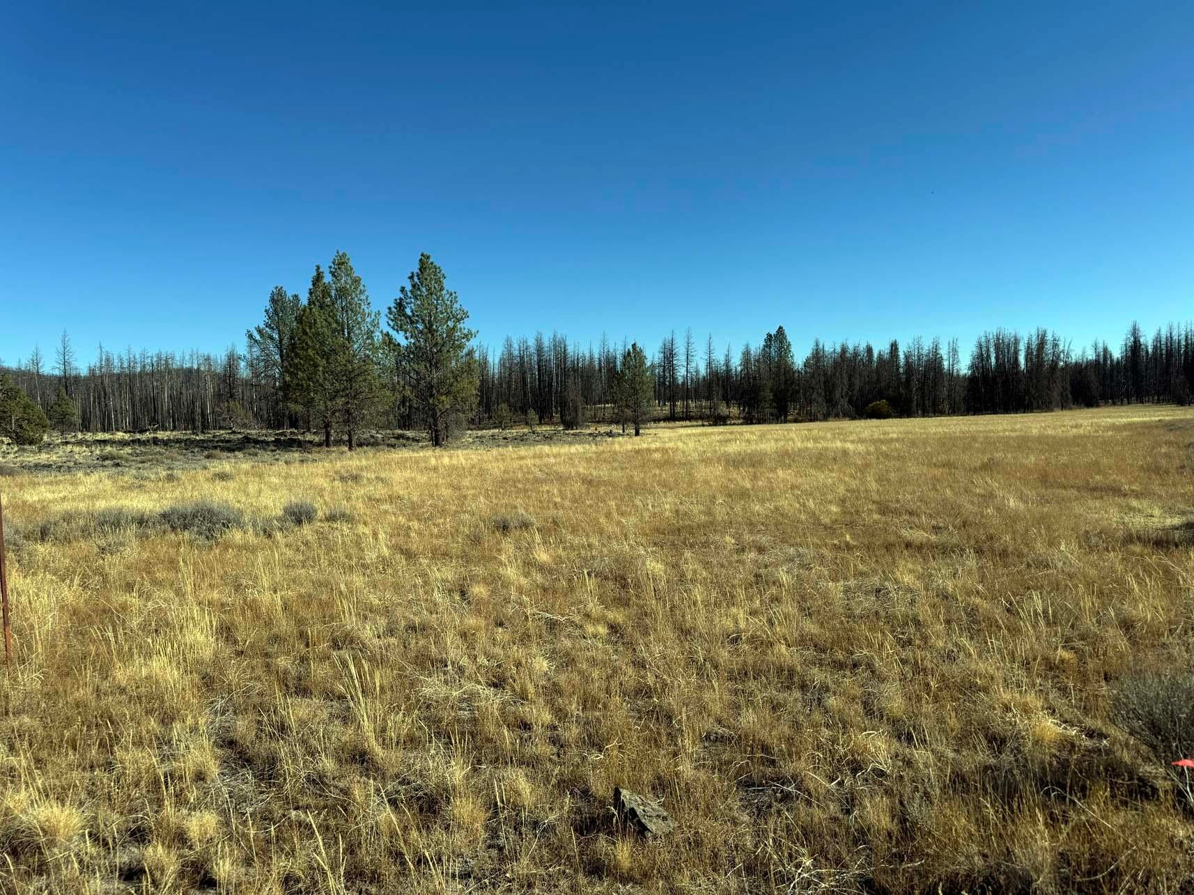 Bull Pine Road, Unit 500 400 300 Beatty, OR 97621 - Photo 25 of 49 IMG_4210