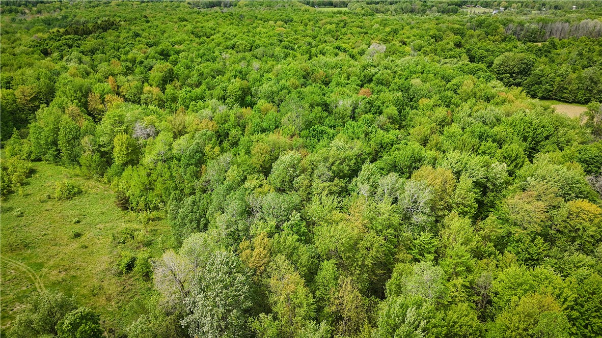 Gifford Road Hannibal, NY 13074 - Photo 23 of 50