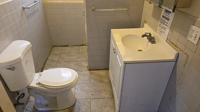 a bathroom with a sink and a toilet