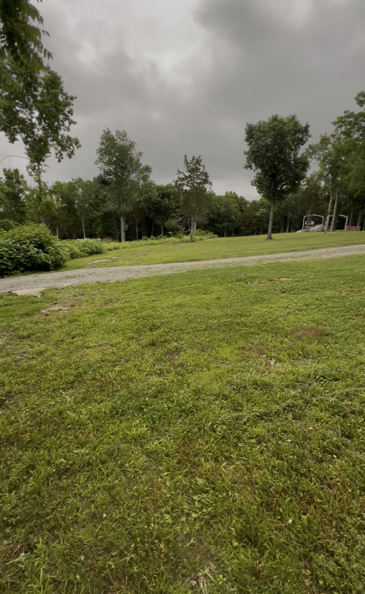 8434 Covington Road Eagleville, TN 37060 - Photo 3 of 12 a view of a big yard with a large trees