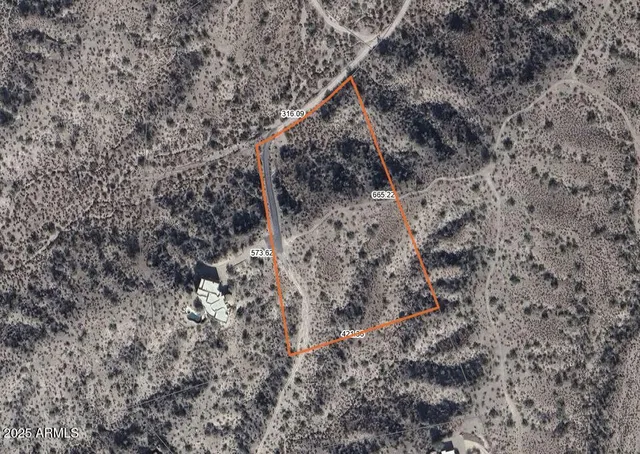 a view of a dry yard with green space and fog