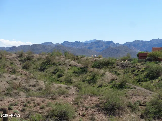 a view of a lush green hillside and a houses