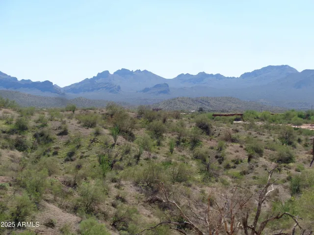 a view of a forest with a mountain in the background