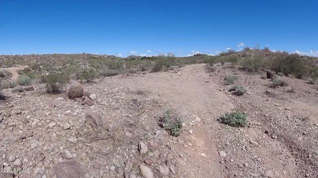 a view of a dry yard
