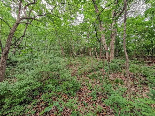 $500,000 | 6004 West Shore Court, Parkville, MO 64152