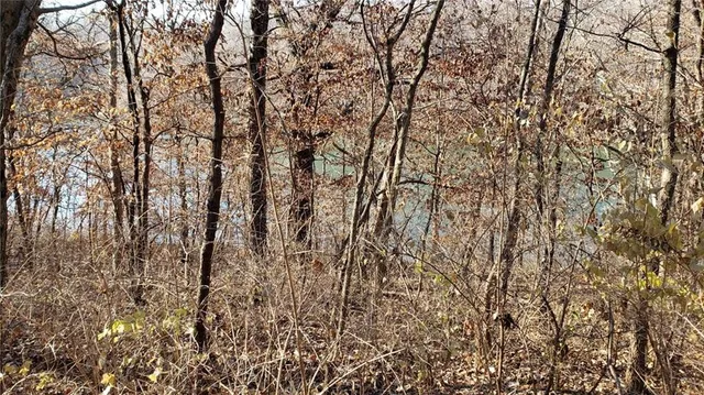 $500,000 | 6004 West Shore Court, Parkville, MO 64152