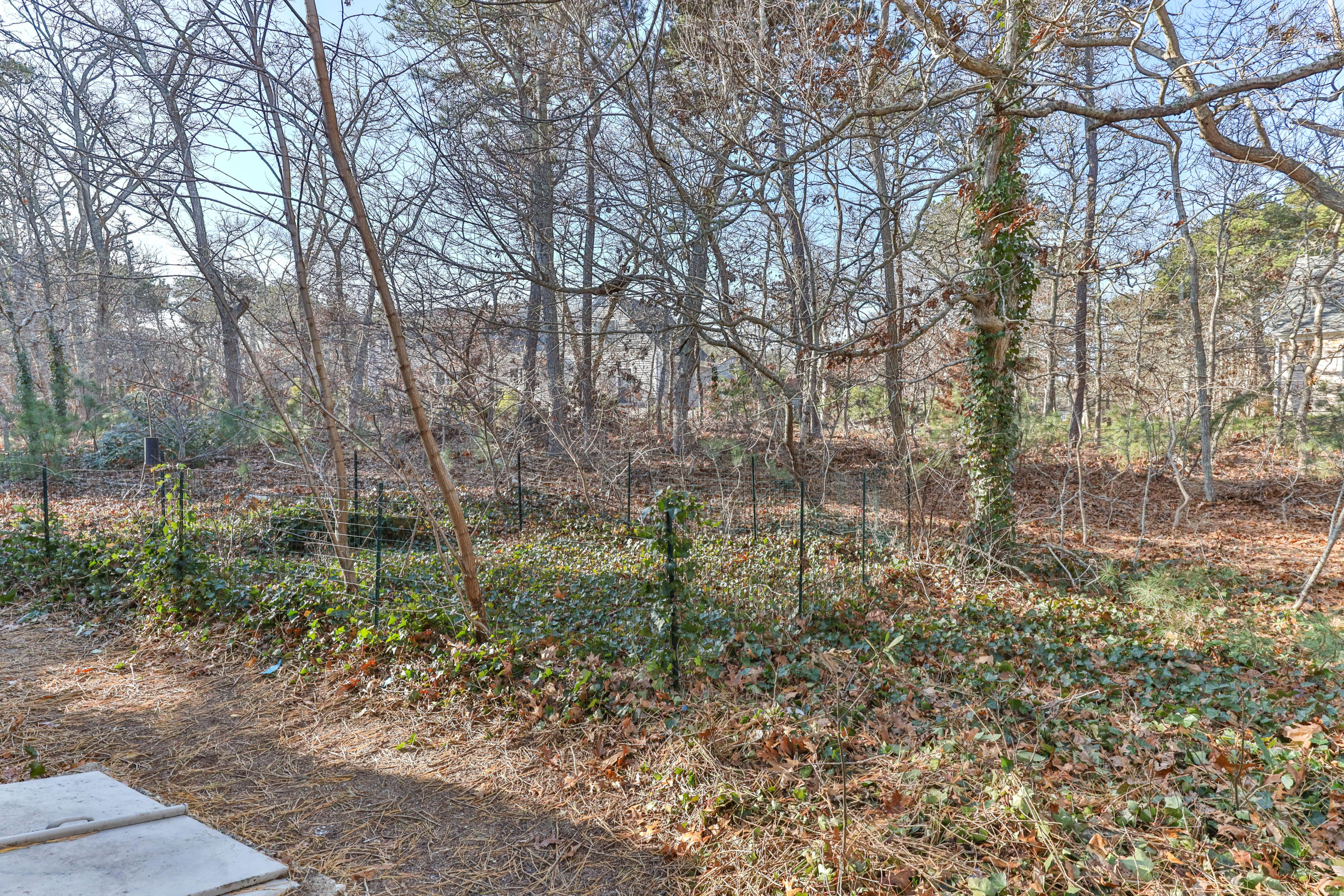 140 Captain Penniman Road Eastham, MA 02642 - Photo 31 of 33 Backyard