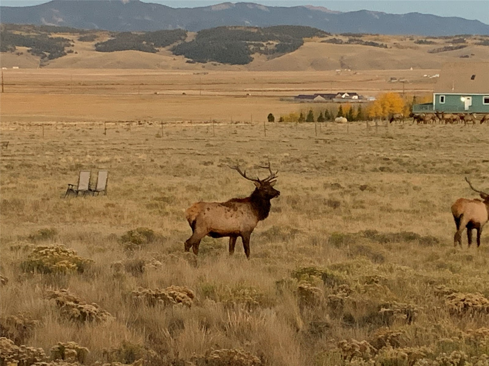 1793 Michigan Hill Road Jefferson, CO 80456 - Photo 46 of 49