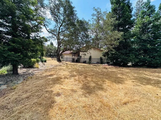 a view of large tree in front of house