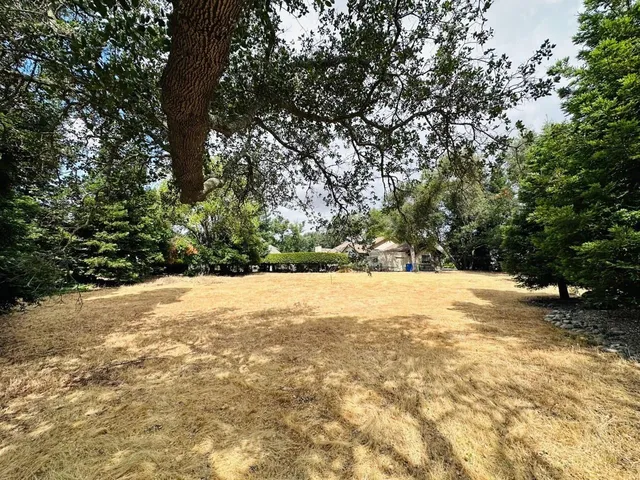 a view of a yard with a tree