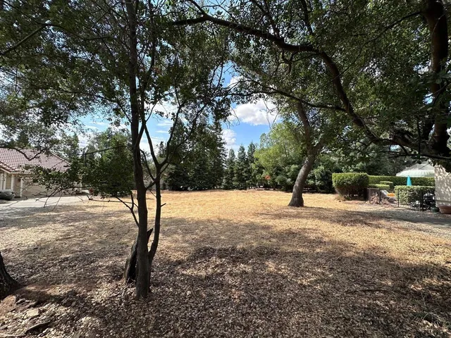 a view of a yard with a tree