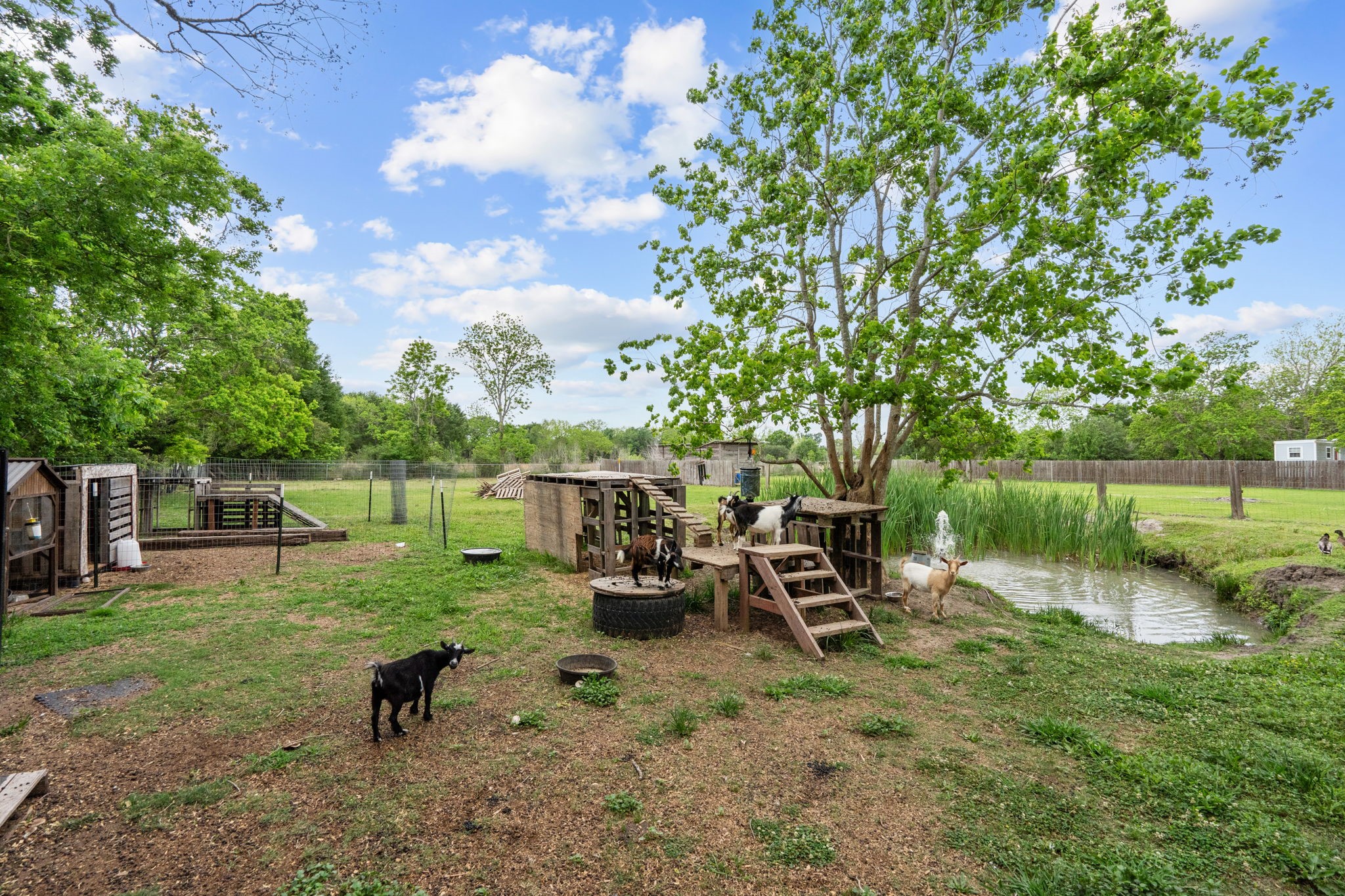 1510 Rymal Road Santa Fe, TX 77511 - Photo 47 of 47