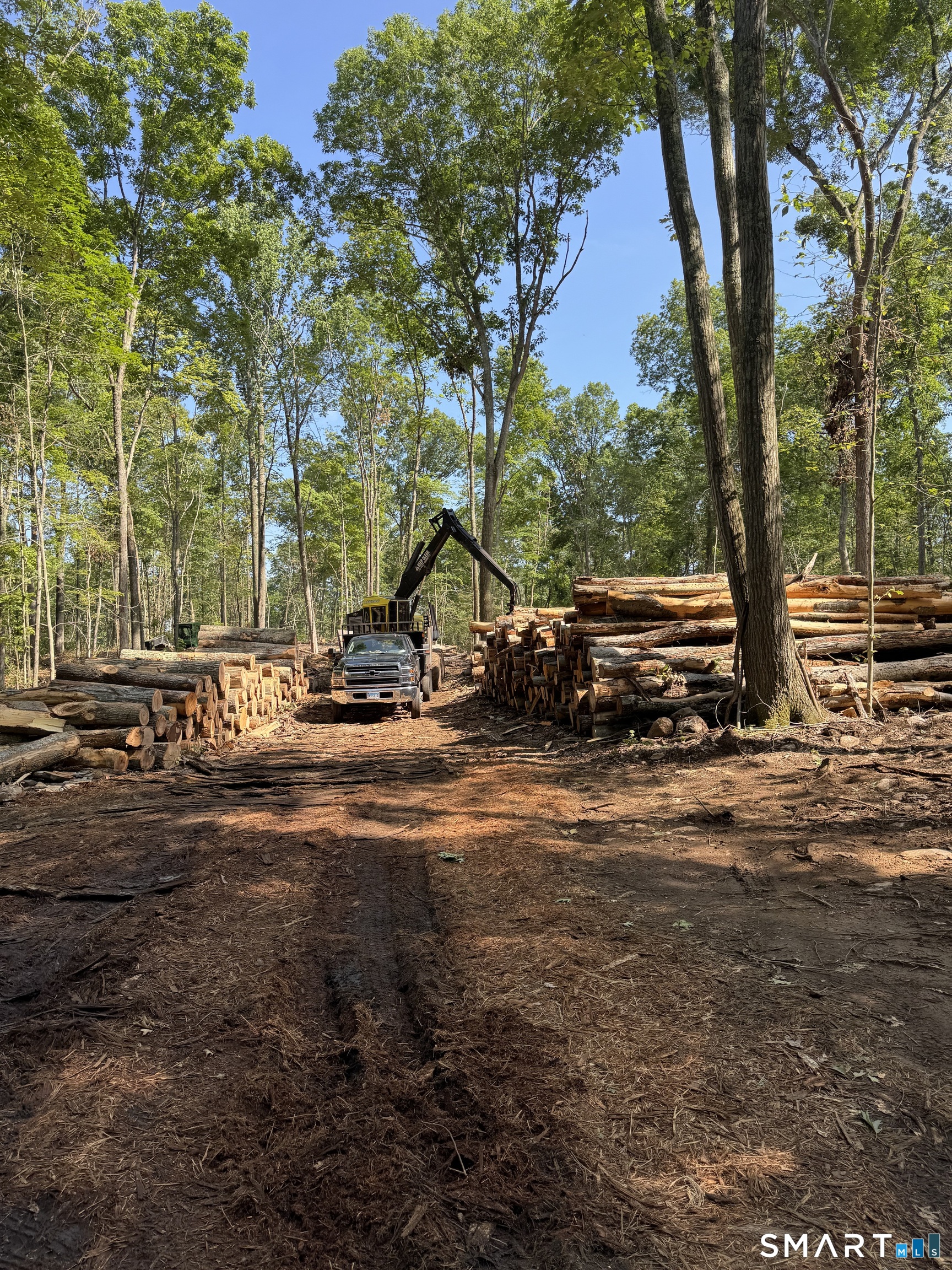 0 Cold Spring Road East Haddam, CT 06423 - Photo 15 of 22 Selective logging and clearing in process.