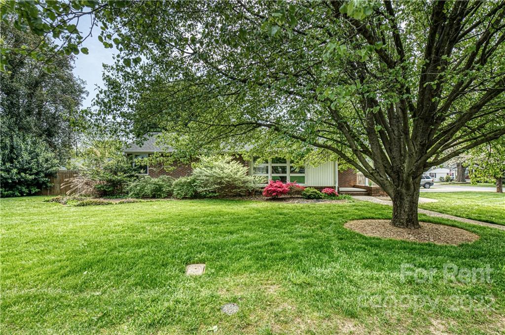 a view of a tree in front of a house