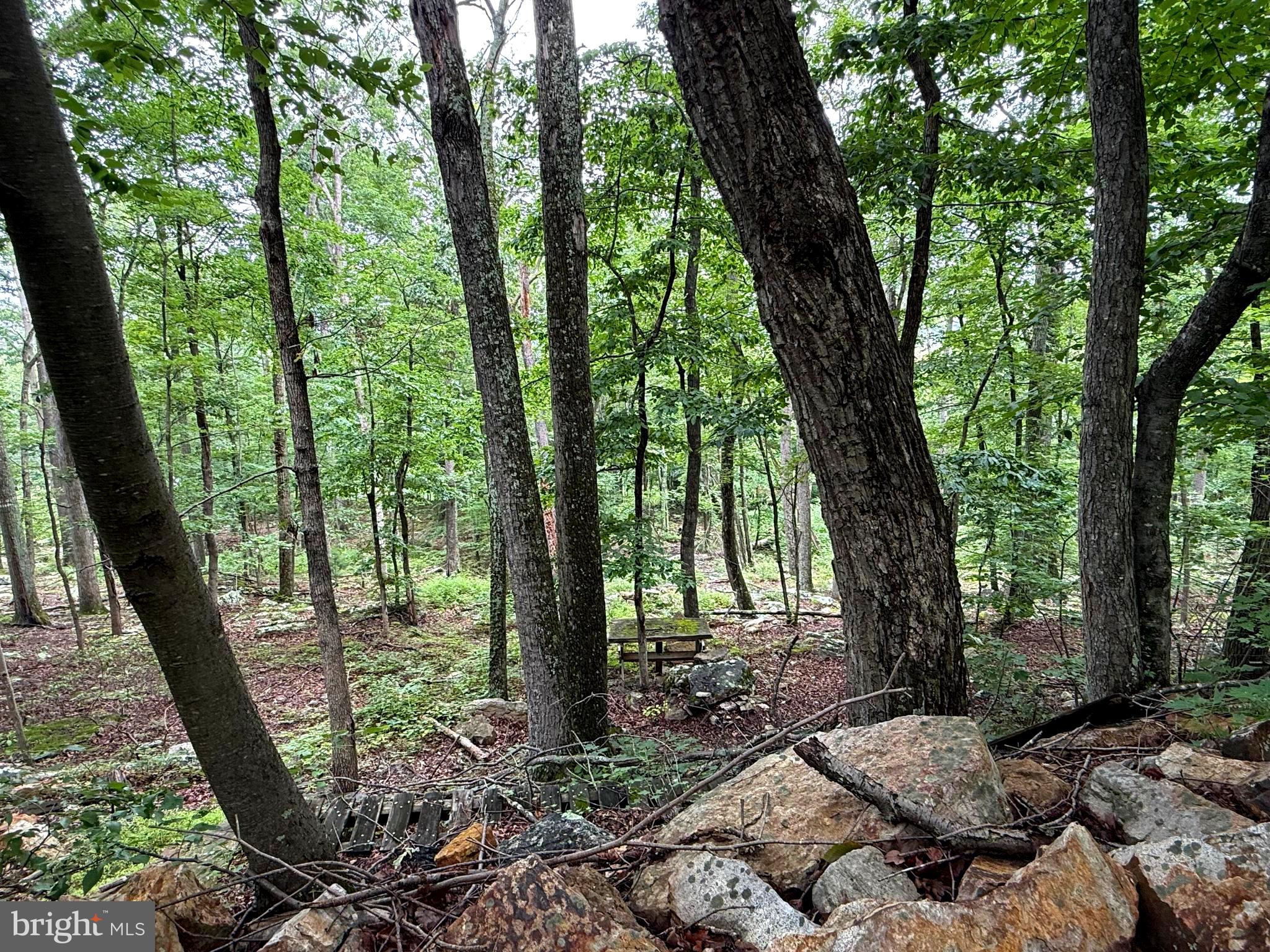 Tr D-15 Deer Path Road Augusta, WV 26704 - Photo 6 of 12