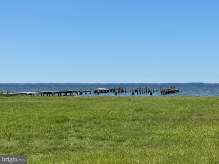 a view of a field with an ocean