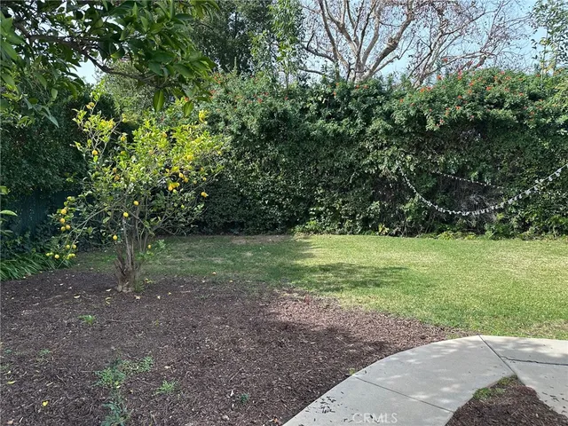 a view of outdoor space with trees all around