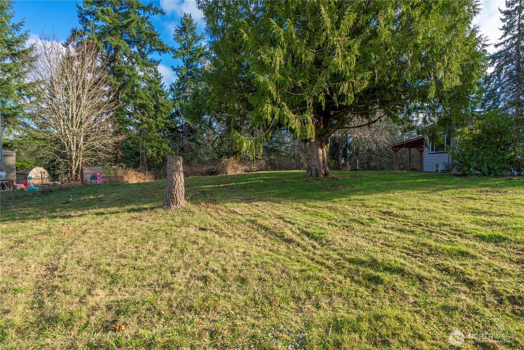 733 Tipsoo Loop South Rainier, WA 98576 - Photo 28 of 37 a view of a yard with a tree