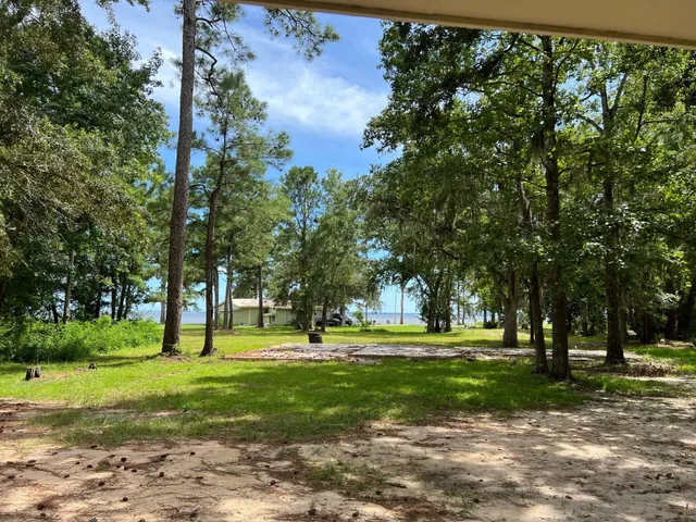 a huge green field with lots of trees