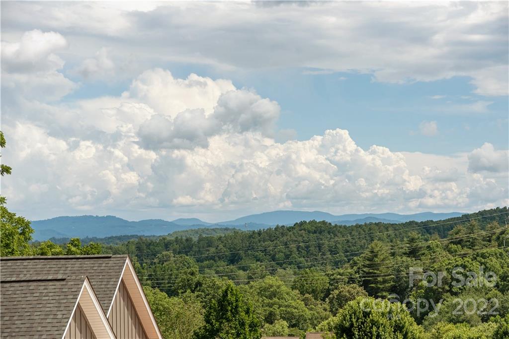 133 Meadow Breeze Road Arden, NC 28704 - Photo 34 of 39 Gallery Image 34