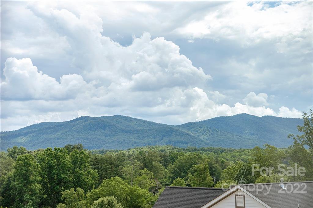 133 Meadow Breeze Road Arden, NC 28704 - Photo 5 of 39 Gallery Image 5