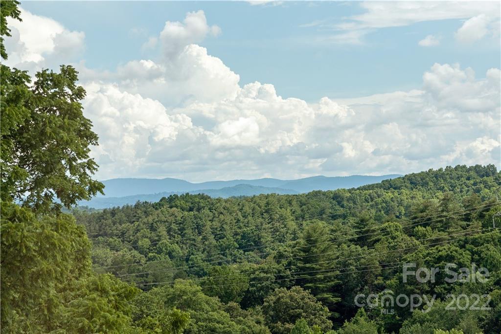 133 Meadow Breeze Road Arden, NC 28704 - Photo 6 of 39 Gallery Image 6