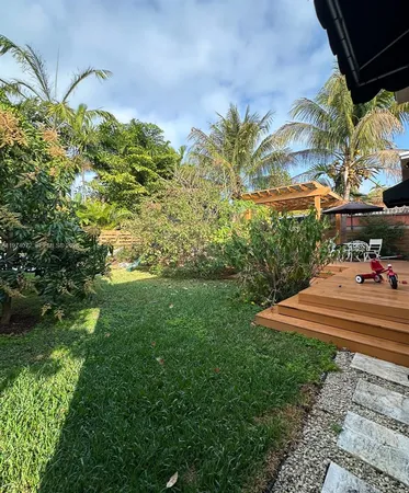 a view of a yard with plants and palm trees