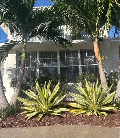 a view of a house with a tree in front